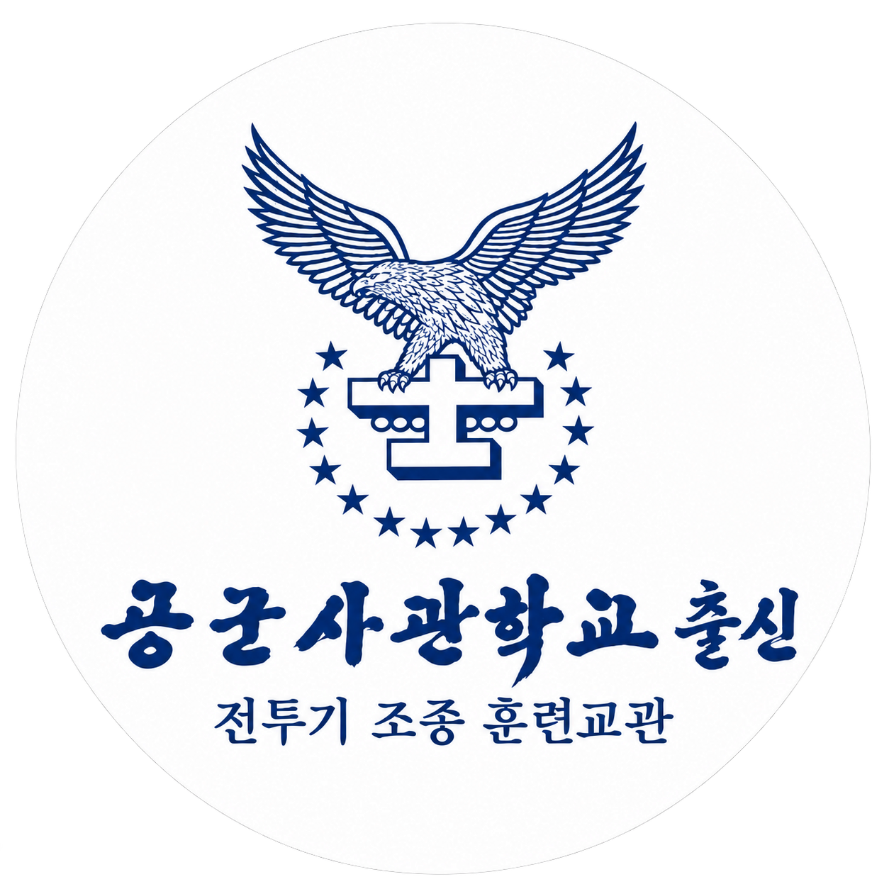 교관 경력: 공군사관학교 출신 · 전투기 조종 훈련교관